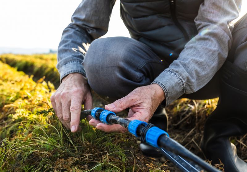 Watering System Installation Service