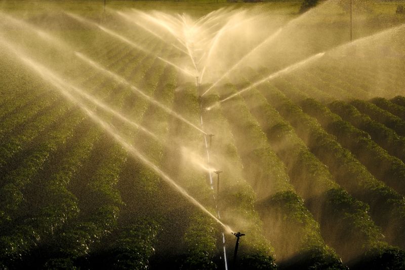 Crop Irrigation Installation in Aiken, SC