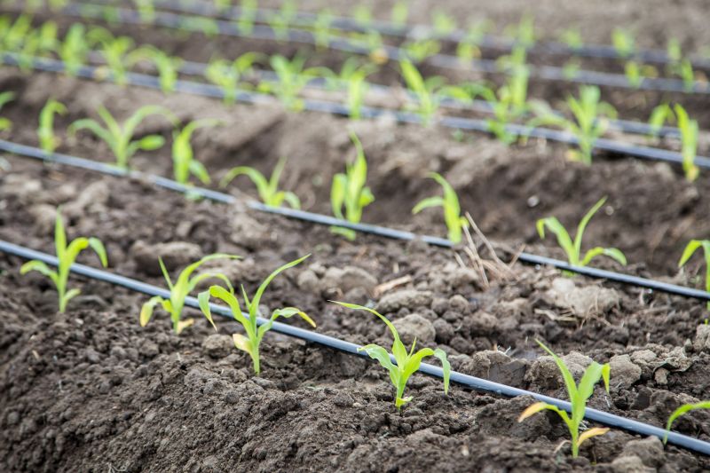 Crop Irrigation Installation in Honolulu, HI