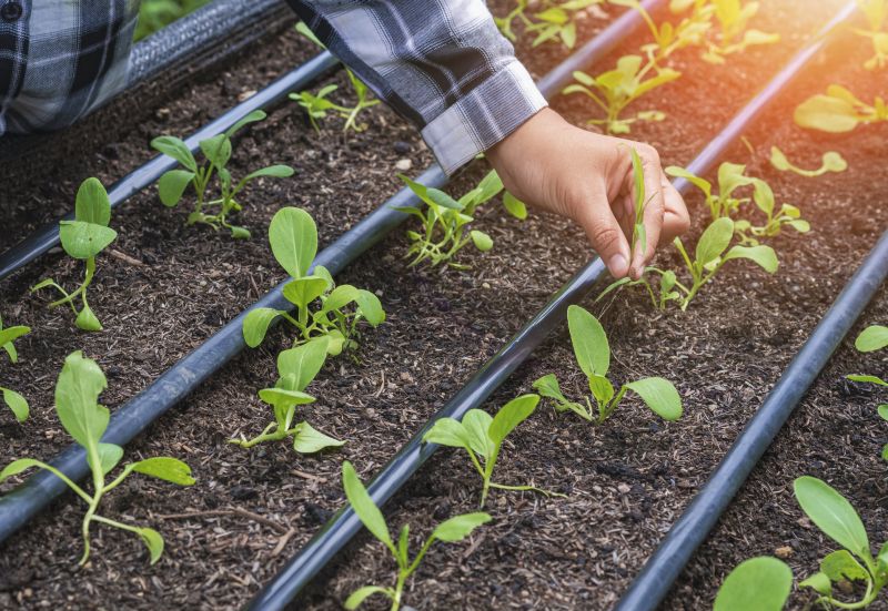 Irrigation System Replacement in Aiken, SC