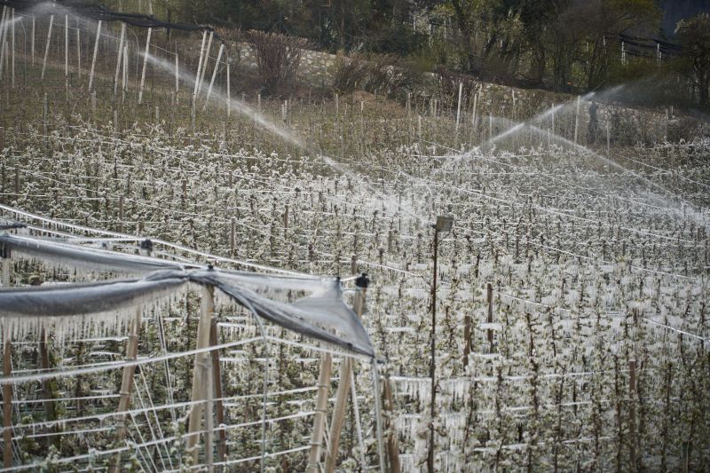 Irrigation System Winterization