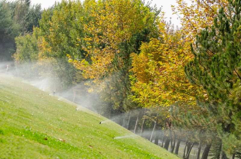 Lawn Sprinkler Installation in Honolulu, HI